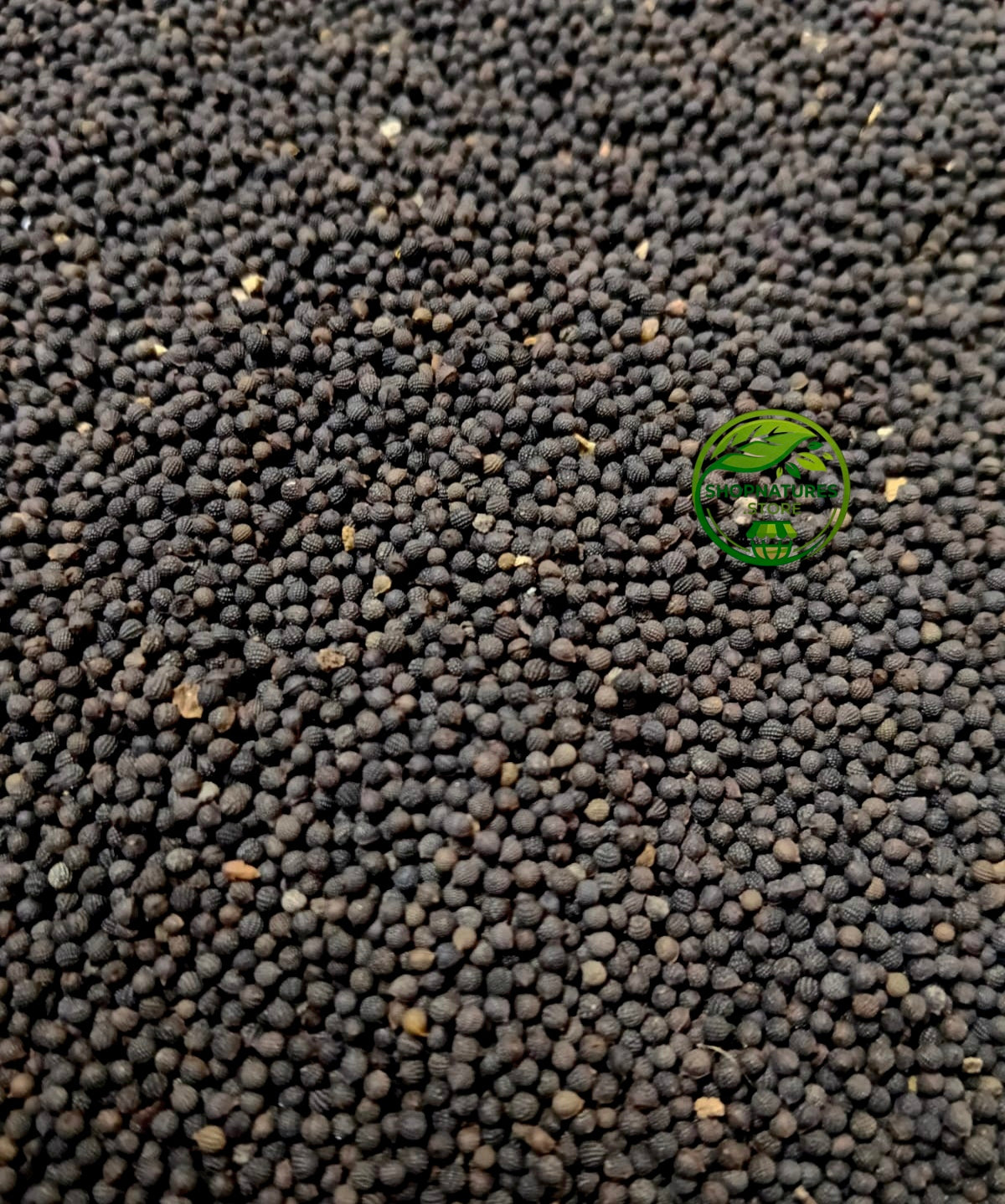 Kateri Seeds (Solanum surattense) – Satyanasi ke Beej | Kantakari | Choti Kateri | Premium Natural Seeds
