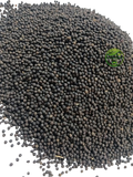 Kateri Seeds (Solanum surattense) – Satyanasi ke Beej | Kantakari | Choti Kateri | Premium Natural Seeds