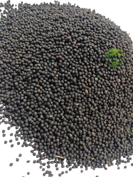 Kateri Seeds (Solanum surattense) – Satyanasi ke Beej | Kantakari | Choti Kateri | Premium Natural Seeds