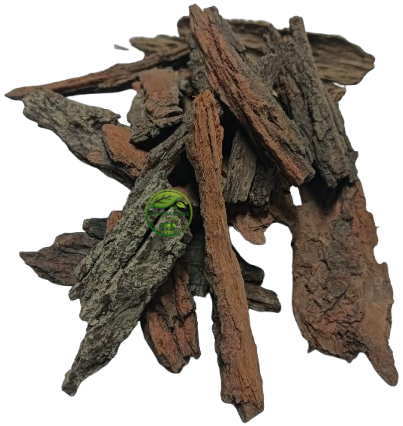 Khair Bark (Acacia catechu) – Khair Chhal | Khadira | Premium Natural Bark