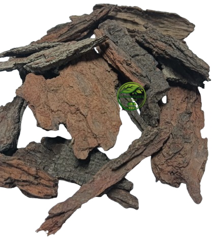 Khair Bark (Acacia catechu) – Khair Chhal | Khadira | Premium Natural Bark