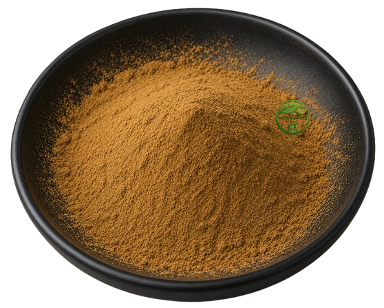 Kutki Extract Powder (Picrorhiza kurroa) – Kutki Root Extract | Herbal Extract Powder