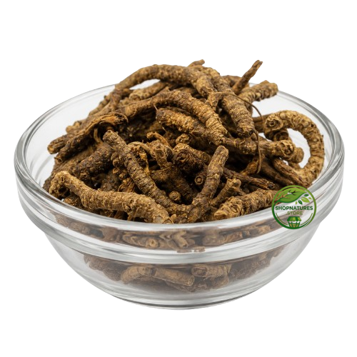 Kutki Root (Picrorhiza kurroa) – Premium Dried Kutki Root | Natural Botanical Herb