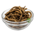 Kutki Root (Picrorhiza kurroa) – Premium Dried Kutki Root | Natural Botanical Herb
