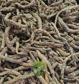 Kutki Root (Picrorhiza kurroa) – Premium Dried Kutki Root | Natural Botanical Herb