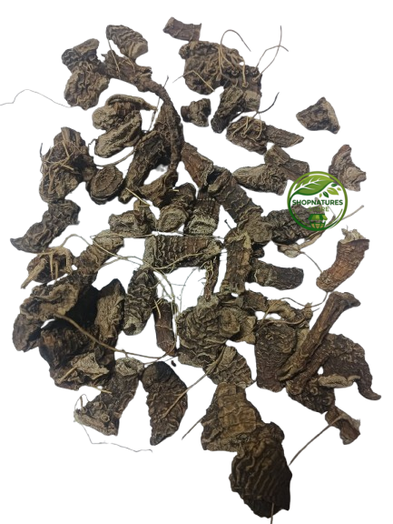 Kutki Root (Picrorhiza kurroa) – Premium Dried Kutki Root | Natural Botanical Herb