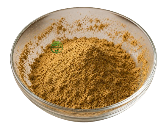Kutki Powder (Picrorhiza kurroa) – Kutki Root Powder | Herbal Root Powder