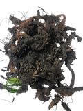 Nagarmotha (Cyperus scariosus) – Cypriol – 100% Natural Aromatic Root | Herbal Root