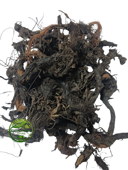 Nagarmotha (Cyperus scariosus) – Cypriol – 100% Natural Aromatic Root | Herbal Root
