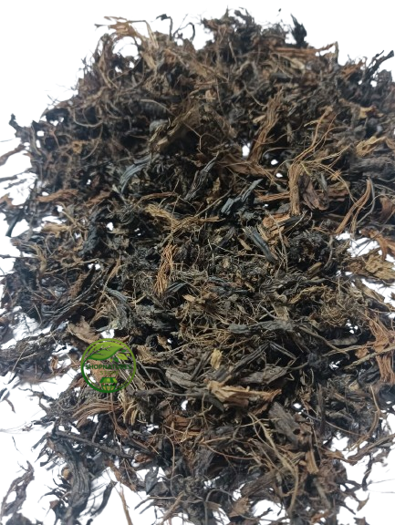 Nagarmotha (Cyperus scariosus) – Cut Pieces – Cypriol – 100% Natural Aromatic Herbal Root