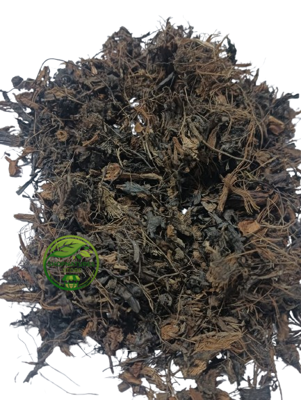 Nagarmotha (Cyperus scariosus) – Cut Pieces – Cypriol – 100% Natural Aromatic Herbal Root