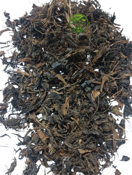 Nagarmotha (Cyperus scariosus) – Cut Pieces – Cypriol – 100% Natural Aromatic Herbal Root
