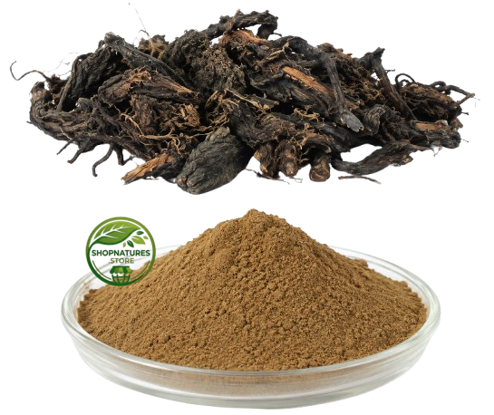 Nagarmotha Powder (Cyperus scariosus) – Cypriol – 100% Natural Aromatic Herbal Root Powder