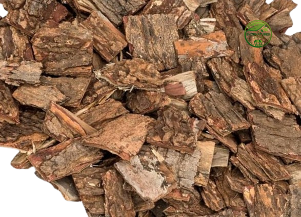 Neem Bark (Azadirachta indica) – Cut Pieces – Neem Chhal Cut – 100% Natural Dried Herbal Bark