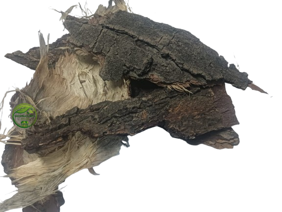 Neem Bark (Azadirachta indica) – Neem Chhal – 100% Natural Dried Herbal Bark