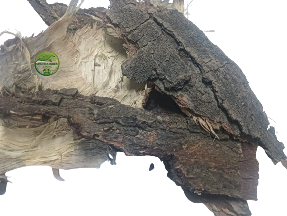 Neem Bark (Azadirachta indica) – Neem Chhal – 100% Natural Dried Herbal Bark