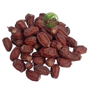 Neem Seeds (Azadirachta indica) – Neem Niboli | Neem Beej | Premium Natural Neem Seeds