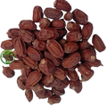 Neem Seeds (Azadirachta indica) – Neem Niboli | Neem Beej | Premium Natural Neem Seeds