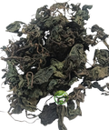 Nettle Leaf (Urtica dioica) – Bichhua Pattee | Bichu Buti | Premium Dried Nettle Leaves