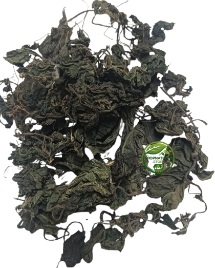 Nettle Leaf (Urtica dioica) – Bichhua Pattee | Bichu Buti | Premium Dried Nettle Leaves