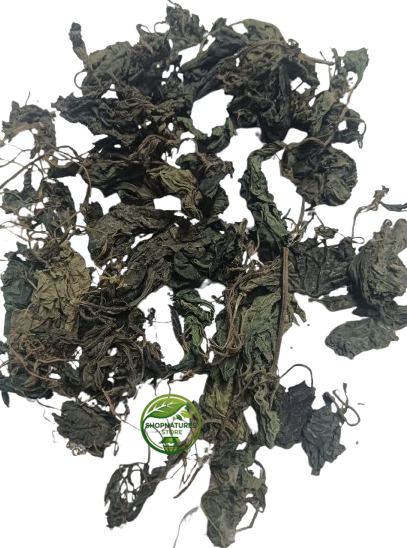 Nettle Leaf (Urtica dioica) – Bichhua Pattee | Bichu Buti | Premium Dried Nettle Leaves