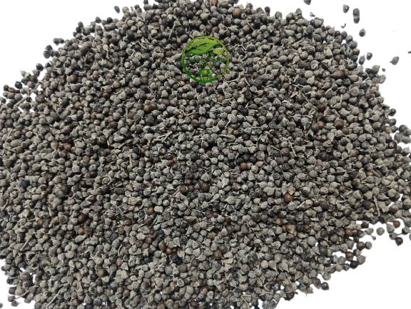 Nirgundi Seeds (Vitex negundo) – Chaste Seeds | Premium Natural Seeds