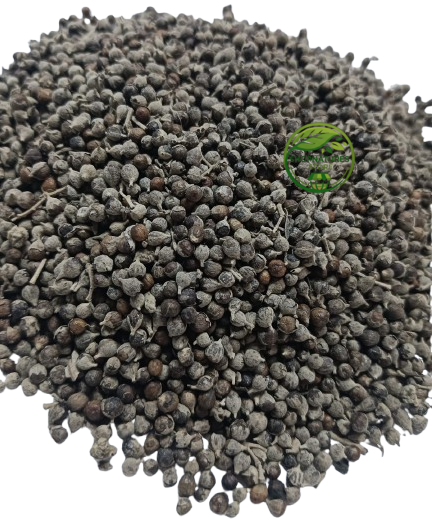 Nirgundi Seeds (Vitex negundo) – Chaste Seeds | Premium Natural Seeds