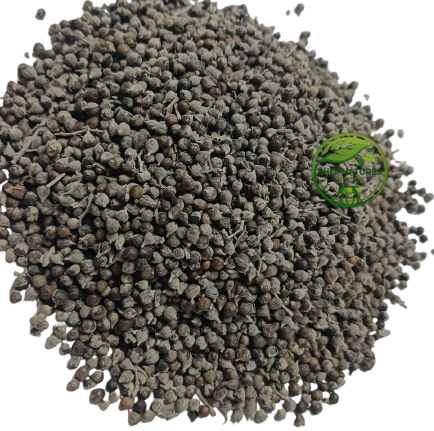 Nirgundi Seeds (Vitex negundo) – Chaste Seeds | Premium Natural Seeds