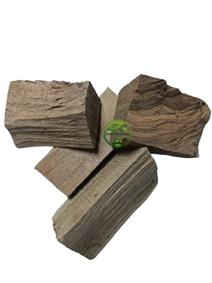 Padmaka (Prunus cerasoides) – Padmankh | Padmak | Wild Himalayan Cherry Tree | Whole Herb