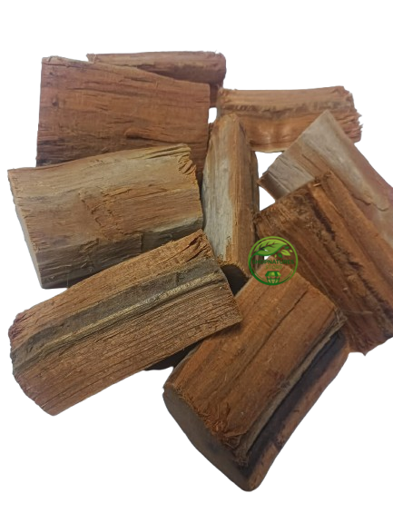 Patranga (Caesalpinia sappan) – Patang Wood – Sappan Wood | Premium Natural Botanical