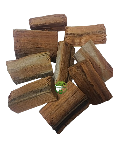 Patranga (Caesalpinia sappan) – Patang Wood – Sappan Wood | Premium Natural Botanical