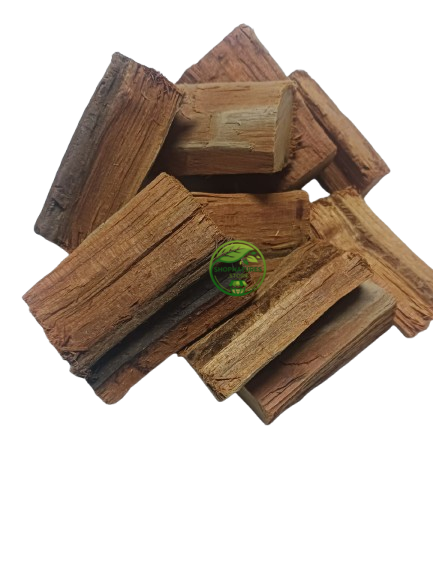 Patranga (Caesalpinia sappan) – Patang Wood – Sappan Wood | Premium Natural Botanical