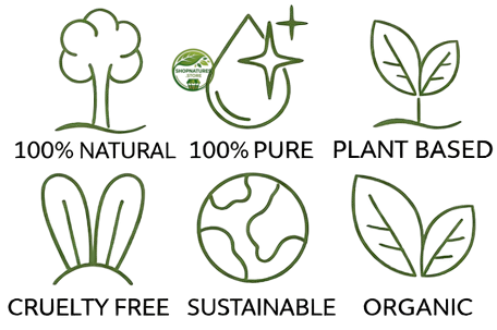 Green Tea Leaf - (Camellia sinensis) | 100% Natural & Organic Green Tea