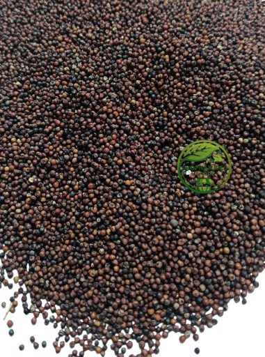 Ragi (Eleusine coracana) – Raagi | Mandwa | Madua | Premium Finger Millet