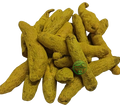 Turmeric (Curcuma longa) – Kachchi Haldi | Raw Turmeric | Premium Natural Rhizome