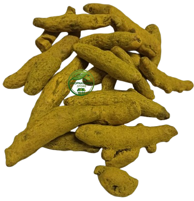 Turmeric (Curcuma longa) – Kachchi Haldi | Raw Turmeric | Premium Natural Rhizome