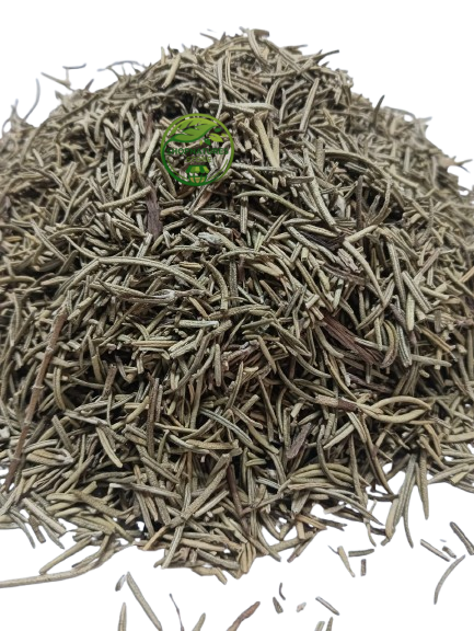 Rosemary (Salvia rosmarinus) – Premium Dried Rosemary Leaves | Rosemary Herb