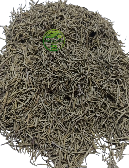 Rosemary (Salvia rosmarinus) – Premium Dried Rosemary Leaves | Rosemary Herb