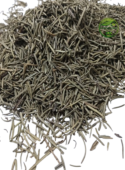 Rosemary (Salvia rosmarinus) – Premium Dried Rosemary Leaves | Rosemary Herb