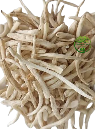 Safed Musli (Chlorophytum borivilianum) – Premium Dried White Musli Root | Natural Botanical Herb
