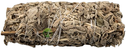 Sage Bundle (Salvia officinalis) – Dried Sage Smudge Bundle | Natural Botanical Herb