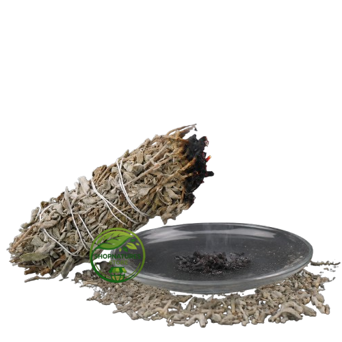 Sage Bundle (Salvia officinalis) – Dried Sage Smudge Bundle | Natural Botanical Herb