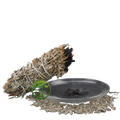 Sage Bundle (Salvia officinalis) – Dried Sage Smudge Bundle | Natural Botanical Herb