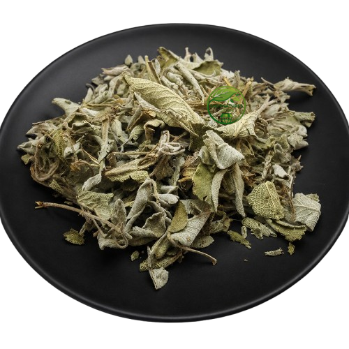 Sage Leaf (Salvia officinalis) – Premium Dried Sage Leaves | Natural Botanical Herb