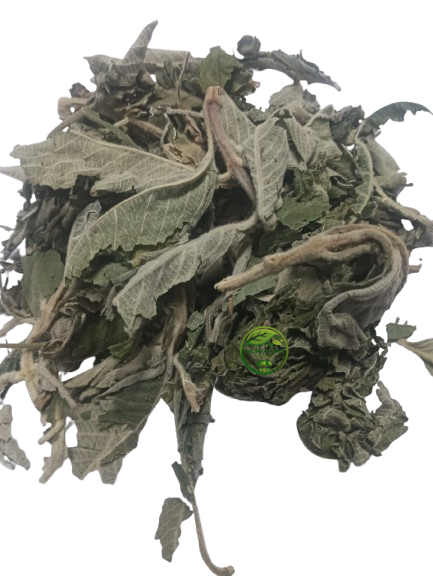 Sage Leaf (Salvia officinalis) – Premium Dried Sage Leaves | Natural Botanical Herb