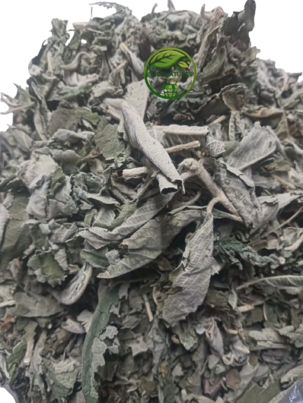 Sage Leaf (Salvia officinalis) – Premium Dried Sage Leaves | Natural Botanical Herb