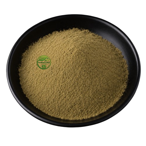 Sage Extract Powder (Salvia officinalis) – Sage Leaf Extract | Herbal Botanical Extract Powder