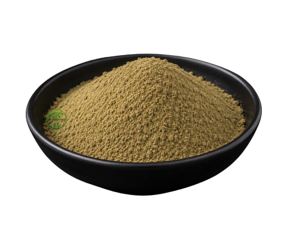 Sage Extract Powder (Salvia officinalis) – Sage Leaf Extract | Herbal Botanical Extract Powder