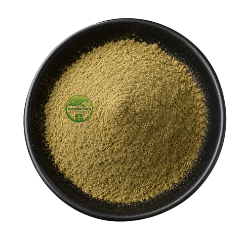 Sage Powder (Salvia officinalis) – Sage Leaf Powder | Herbal Botanical Powder