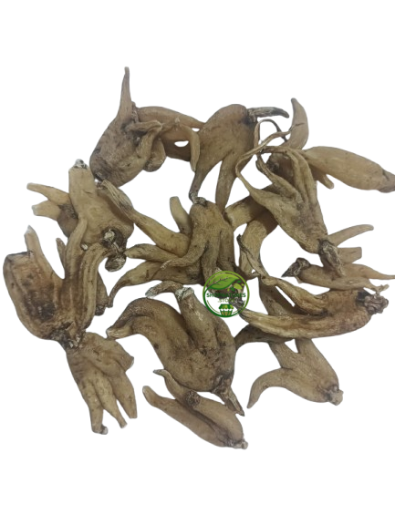 Salab Punja (Dactylorhiza hatagirea) – Salam Panja – Himalayan Marsh Orchid – Premium Natural Herbal Root